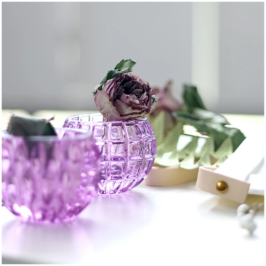 Прозрачная настольная стеклянная ваза мини Кристальный гидропонный контейнер