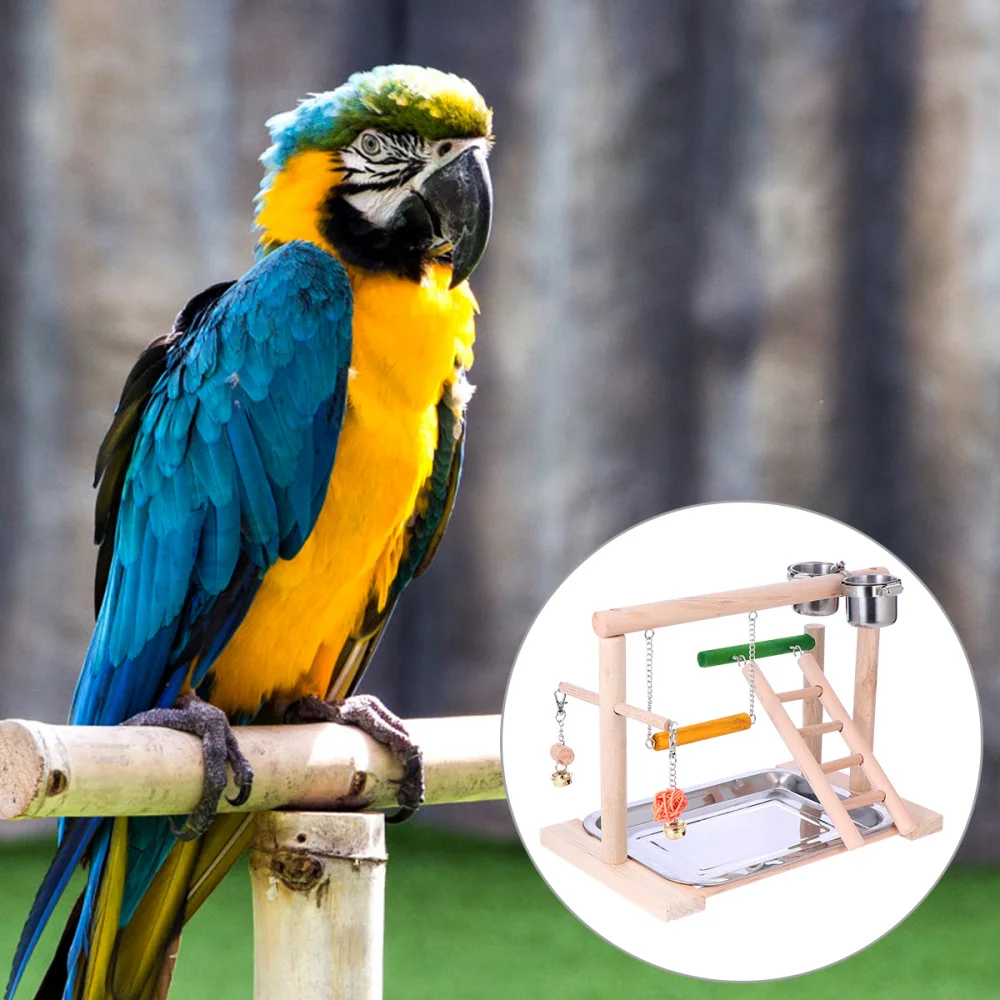 

1 Set Parrot Standing Rack Swing Climbing Ladder Training Racks with Feeder Cups