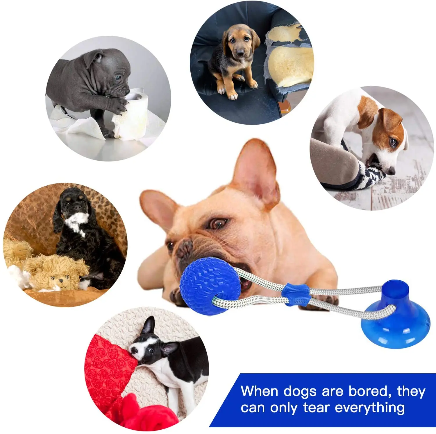 Interactive Suction Cup Dog Chew Toy Self Playing with Elastic Rope Tooth Cleaning Chewing Ball Puppy Supplies | Дом и сад