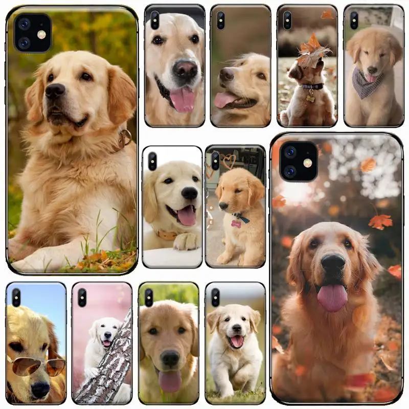 

Golden retriever dog lovely Phone Case For iphone 12 11 13 7 8 6 s plus x xs xr pro max mini