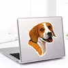 Изображение товара 4
