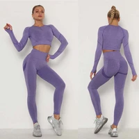 women yoga sets gym seamless long sleeve fitness workout sports running high waist elasticity yoga set breathable quick dry