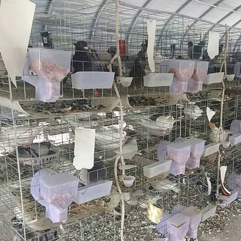 

Pigeon Feeder Automatic Single Hole Feeding Case Hanging Cage Birds Parrot Food Dispenser Device Box Plastic Container Accessori