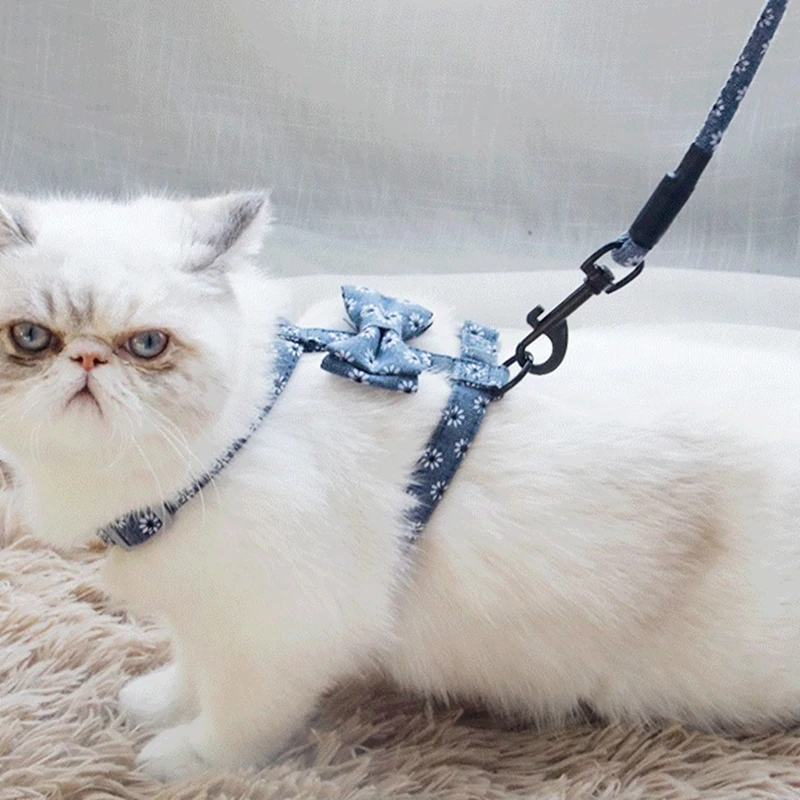 

Регулируемый нейлоновый поводок для собак, набор поводков для щенков, бант для кошек, жилетка, поводок для прогулок для маленьких и средних ...