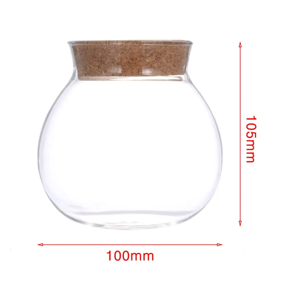 

newNew Arrival Cute Design Tea Coffee Sugar Glass Canisters Flower Plant Vase Pot Home Decoration Party Transparent Beauty