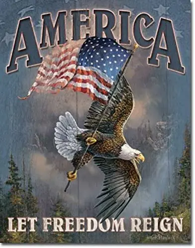 Отчаянная Америка Let Freedom Reign патриотический Орл оловянный коллекционный