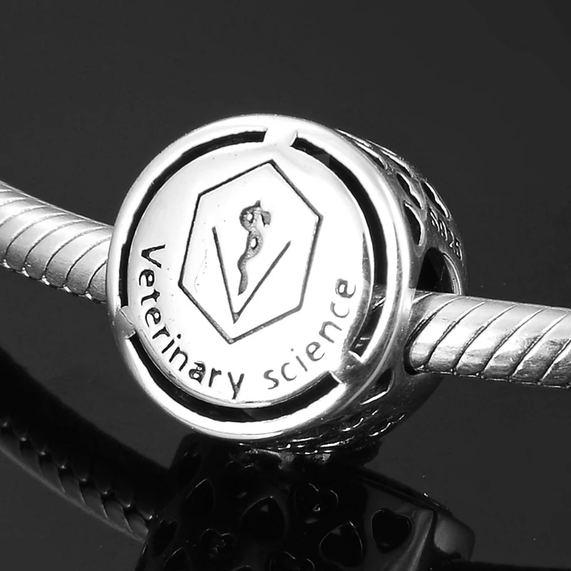 

Successful career Sign Veterinary Science 925 Sterling Silver Charm Beads for Jewelry Making Fit Original Women Charm Bracelet