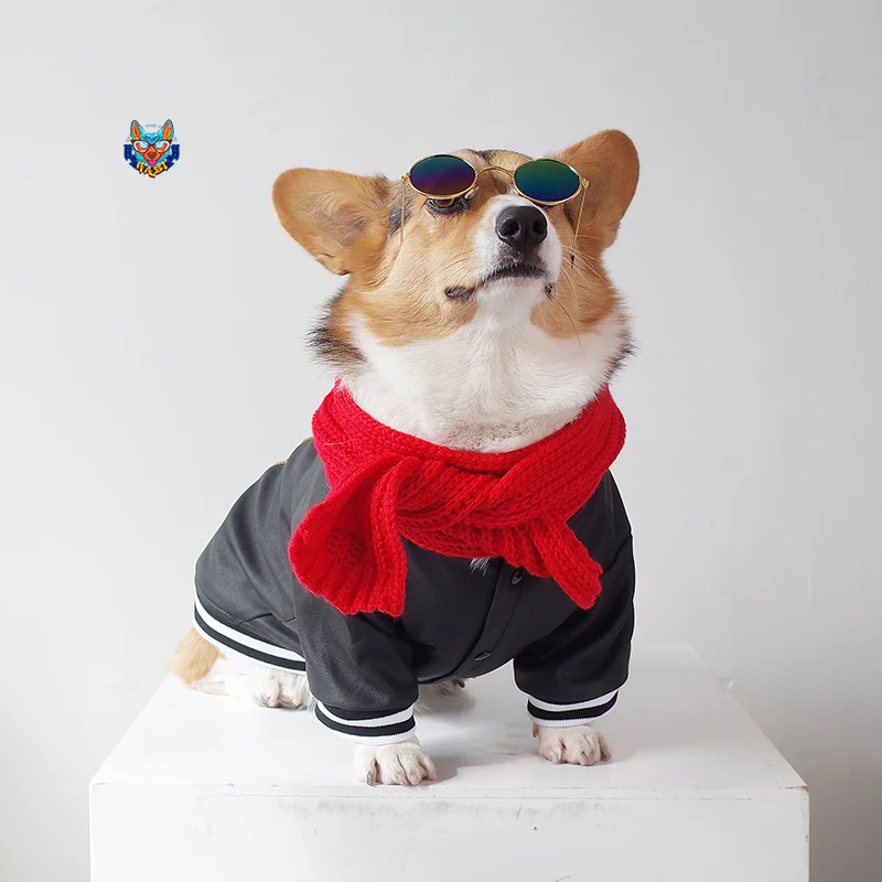 Большая одежда для собак Хаски Зимняя чихуахуа водонепроницаемая Одежда