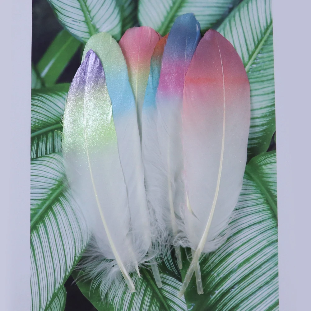 20 шт. декоративные гусиные перья | Дом и сад