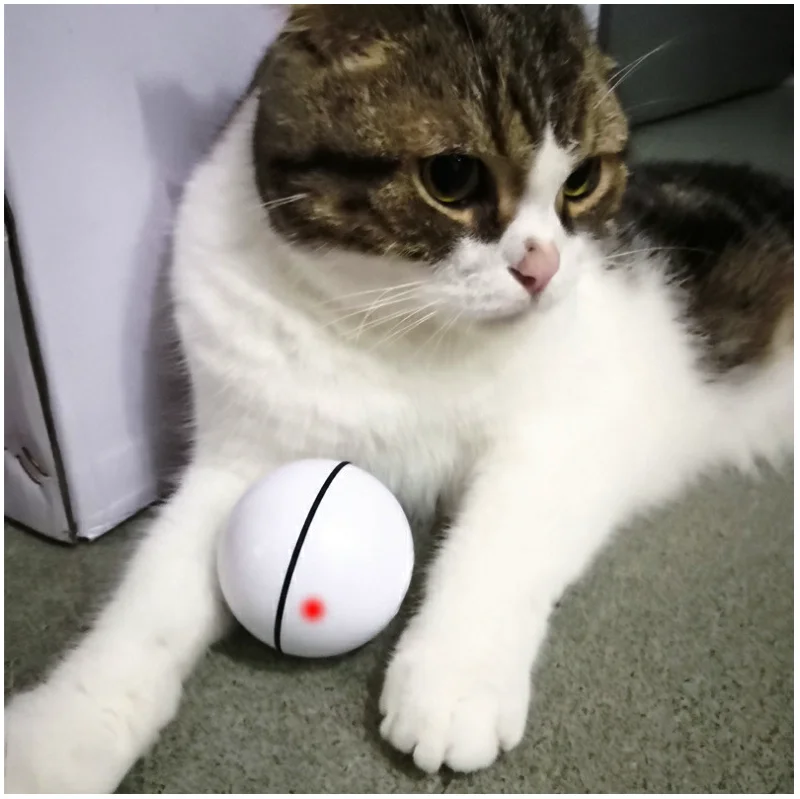 Pet персидская игрушка для кошек светодиодный светящийся шар зарядка через USB умная забавная игрушечная кошка автоматический прокатный лазерный шар для маленьких средних собак свет