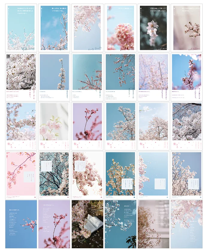 

143mmx93mm see flower paper postcard(1pack=30pieces)