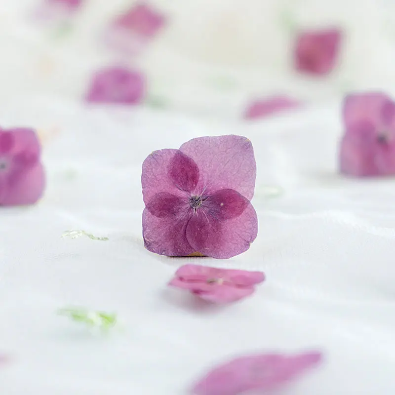 Натуральный цветок гортензии рубинового цвета для украшения сделай сам 120 шт. |