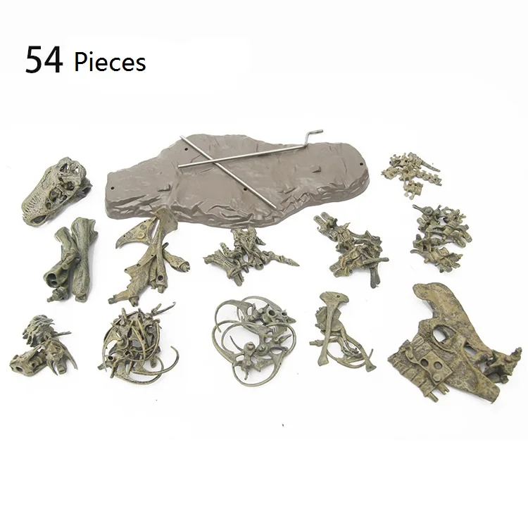 3D модель скелета динозавра обучающая игрушка для детей|Юный биолог| |