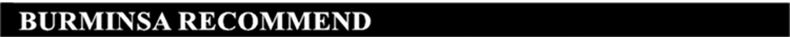 Burminsa Elegant Quilted Chain Crossbody Bags For Women Unique Design Lock High Quality Soft PU Female Shoulder Bags Autumn