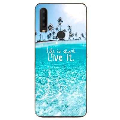 Для Alcatel 3X2019 5048U 5048Y чехол 6,5" Роскошный чехол из ТПУ и силикона чехол s для Alcatel 3X3X2019 задняя крышка телефона - Цвет: W22