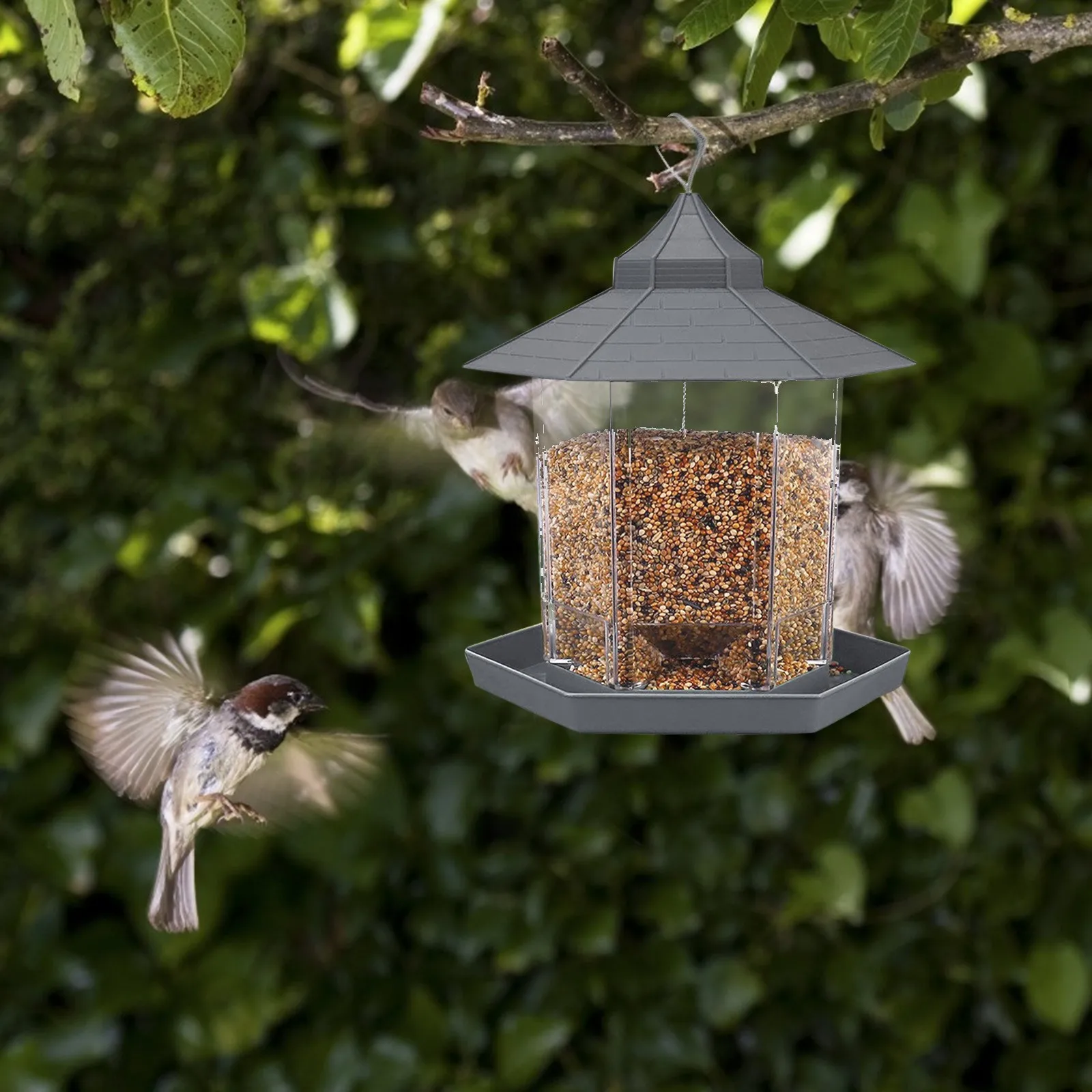 

Garden Terrace Hanging Plastic Bird Feeder With Multi Sides Feeding Seeds Grooves Chick Duckling Feed Storage Auto Distributor