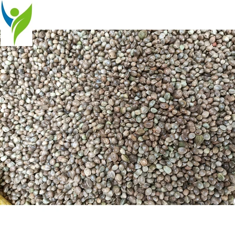 

Hemp Seed, Laxative, Invigorating Blood Circulation, Analgesic, Traditional Chinese Medicine