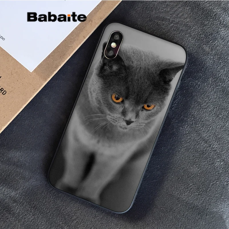 Babaite Британский короткошерстный Кот в продаже окрашенный мягкий чехол для телефона Apple iPhone 8 7 6S Plus X XS MAX 5 5S SE XR