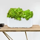 Гидропонные садовые горшки # N, горшки для выращивания растений с 12 отверстиями, садовая система для гидропонных систем, комнатный садовый шкаф, комплект аксессуаров на солнечных батареях