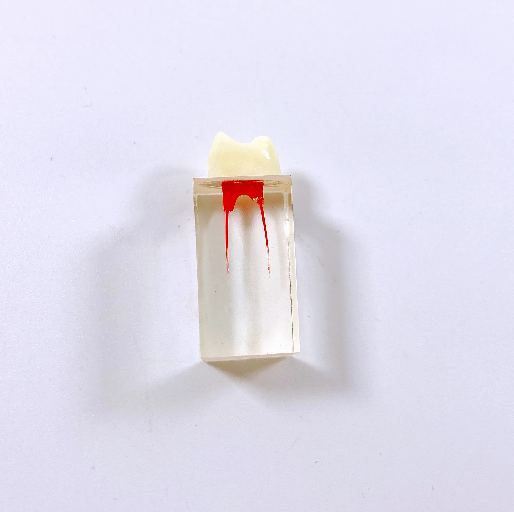 Модель для обучения стоматологии обучающий блок RCT корневой канал зубы обучение