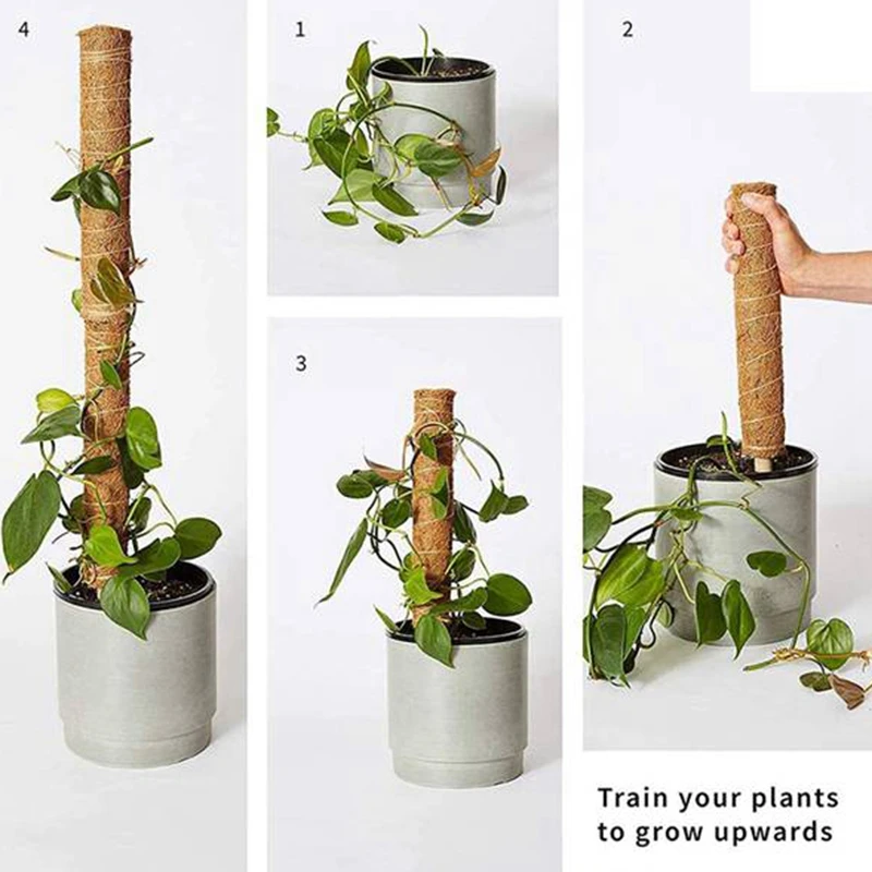 6 шт. удлинитель для альпинизма комнатных растений подставка палка Coir Moss Stick