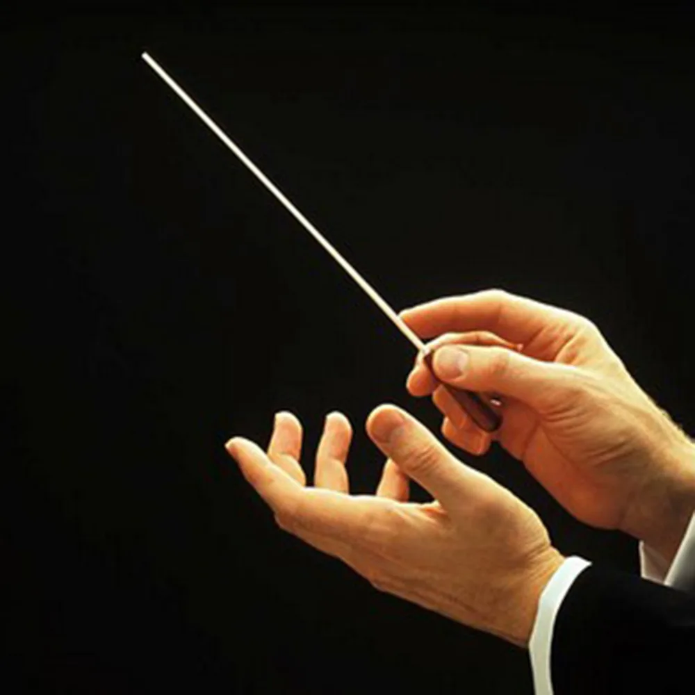 2018 New Arrival Music Concert Rhythm Band Director Conductor Baton 38.5cm Musical Instrument In Stock | Дом и сад