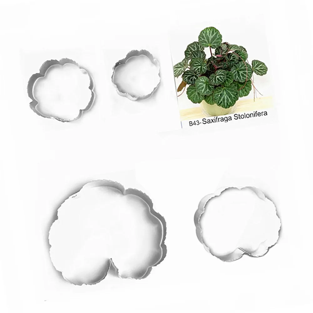 Saxifraga Stolonifera помадные сахарные ножи для цветов украшения торта выпечки
