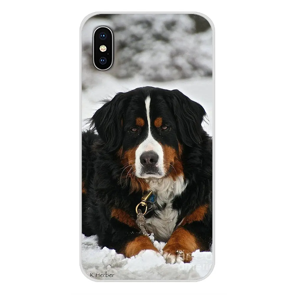 For Samsung Galaxy J1 J2 J3 J4 J5 J6 J7 J8 Plus 2018 Prime 2015 2016 2017 Accessories Phone Cases Covers Bernese Mountain Dog | Мобильные