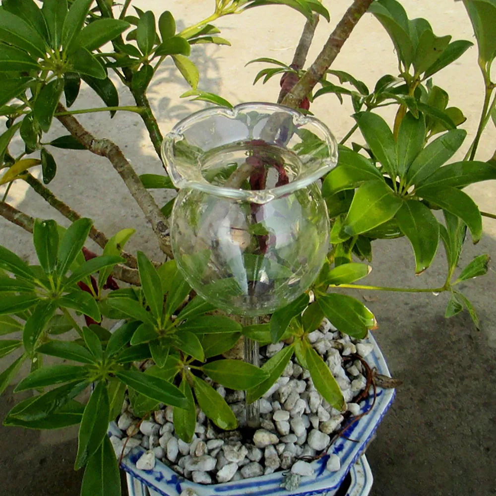 

Indoor Automatic Flower Glass Garden Plant Watering Device Sprinkler
