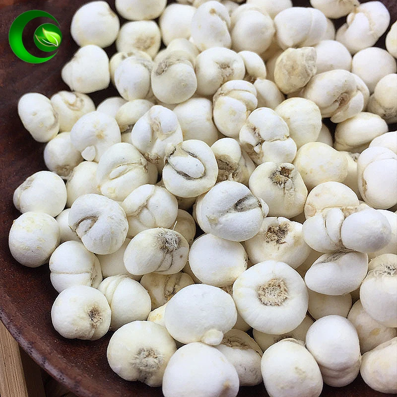 

Fritillaria Cirrhosa Bulbus Fritilariae Chuan Bei Mu Tendril-leaved Fritillary Bulb; Sichuan Unibract Fritillary Bulb