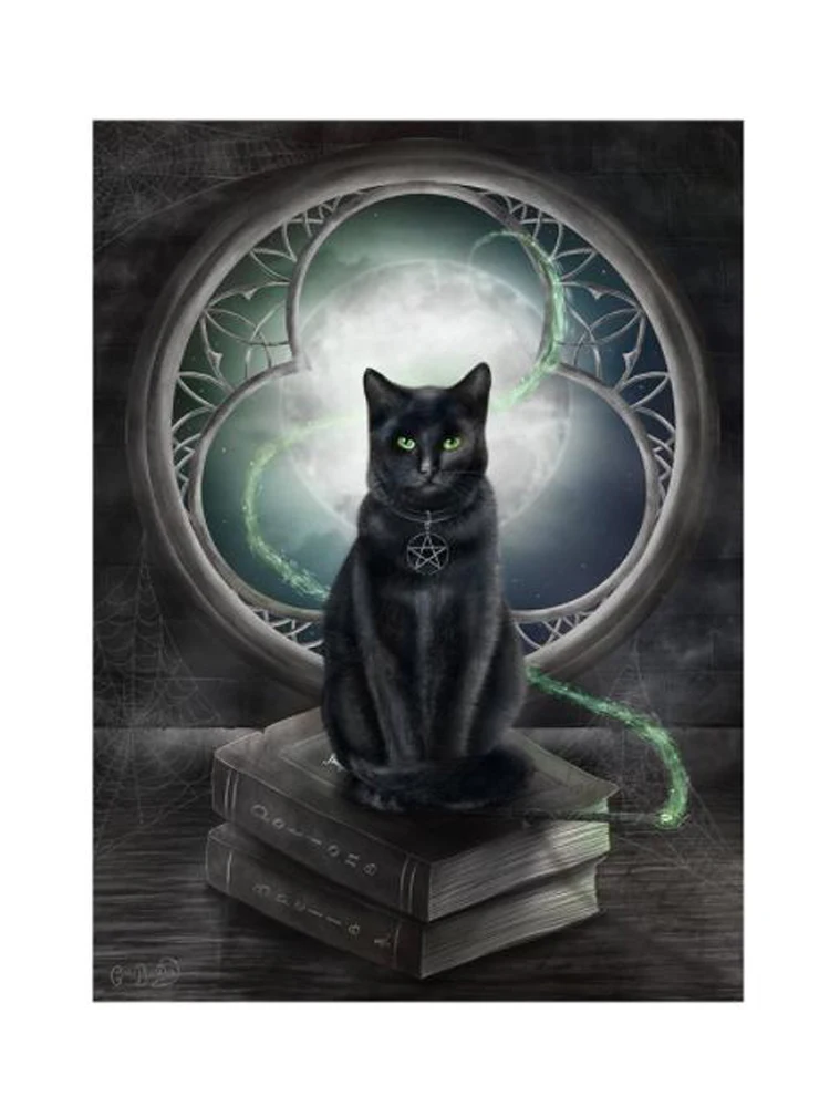 

5d embroidery painting kit, magic cat for gemstone cross stitch crafts, animal mosaic, 3D square and round diamonds.