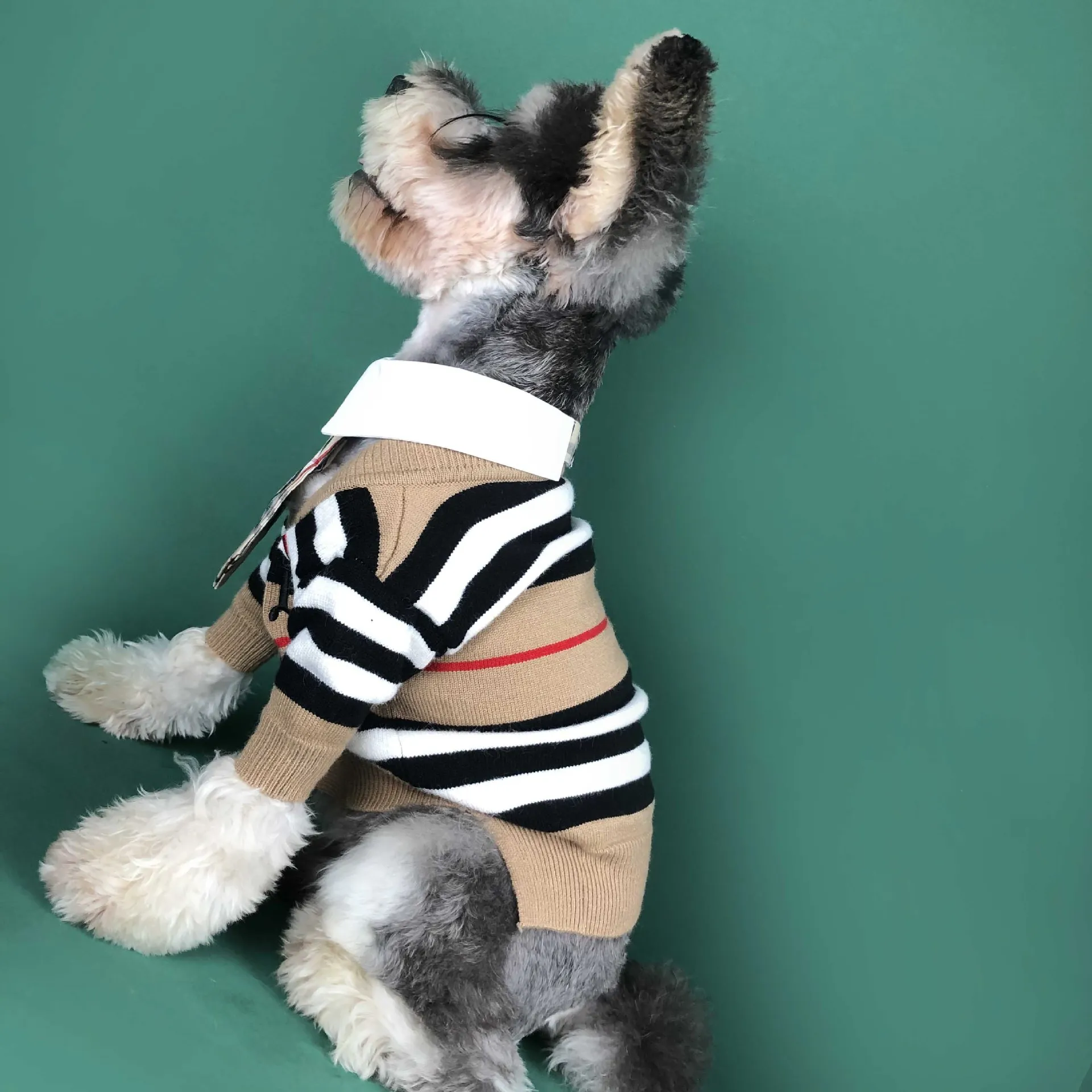 Лидер продаж собака одежда для весны и осени детское праздничное платье