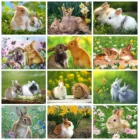 5D алмазная живопись кролик животные вышивка крестом наборы мозаика полный квадратный цветок картина для интерьера