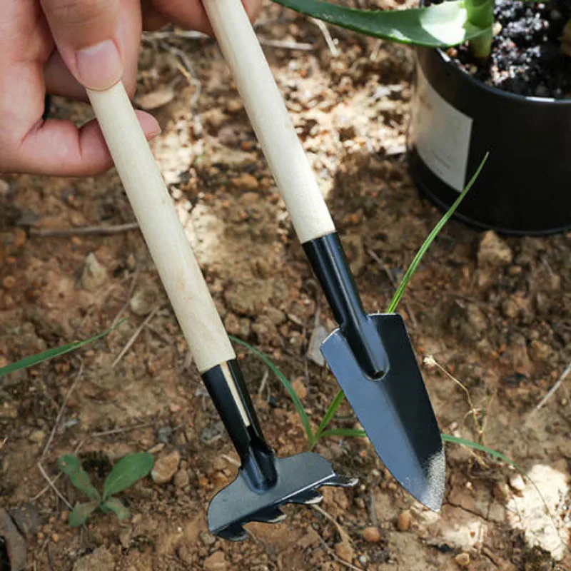 3 шт./компл. Мини садовые инструменты из нержавеющей стали горшечные растения