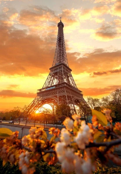 

Paris Metal Sign, Photo, Vintage Tin Plaque, Eiffel Tower, France Sunset, Travel