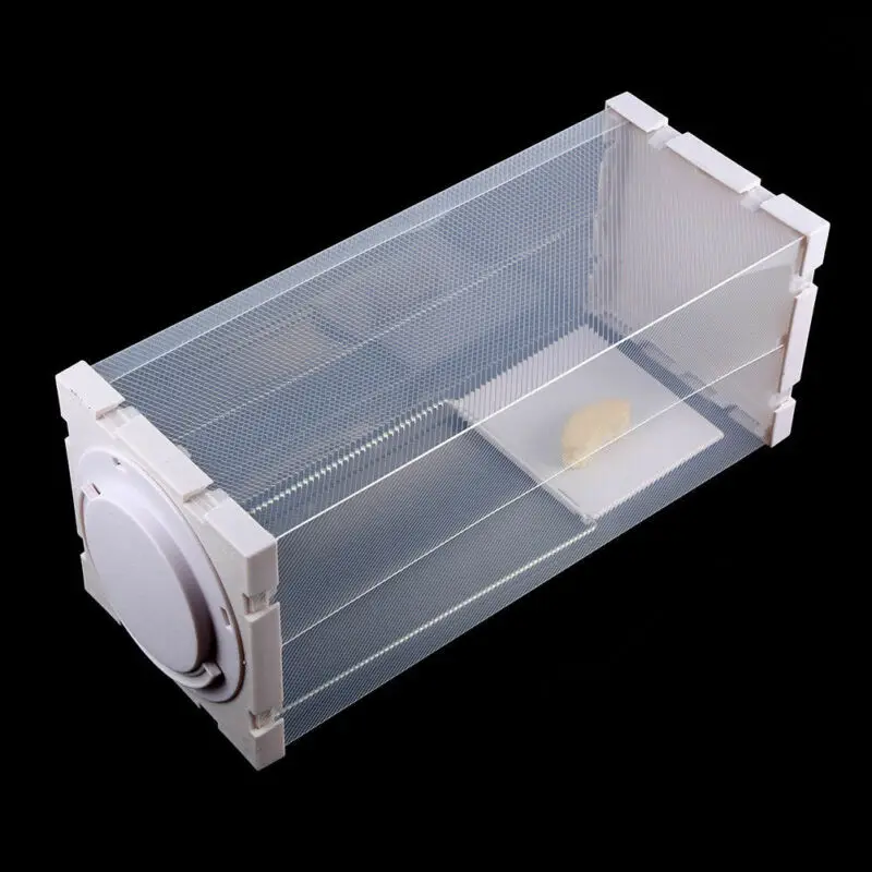

White Humane Rat Trap Cage Animal Pest Rodent Mice Mouse Bait Catch Capture