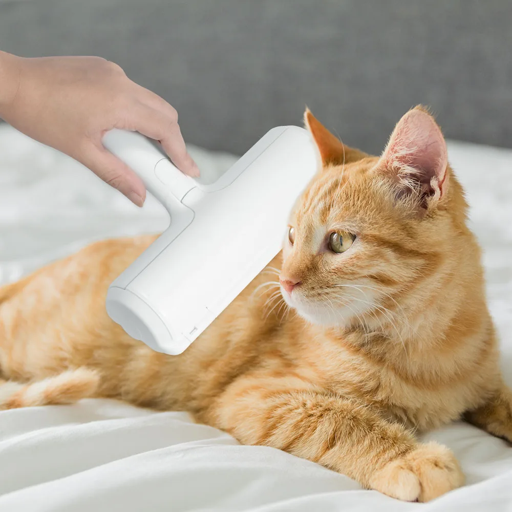 Новая одежда для маленькой девочки 2 таким образом устройство удаления шерсти