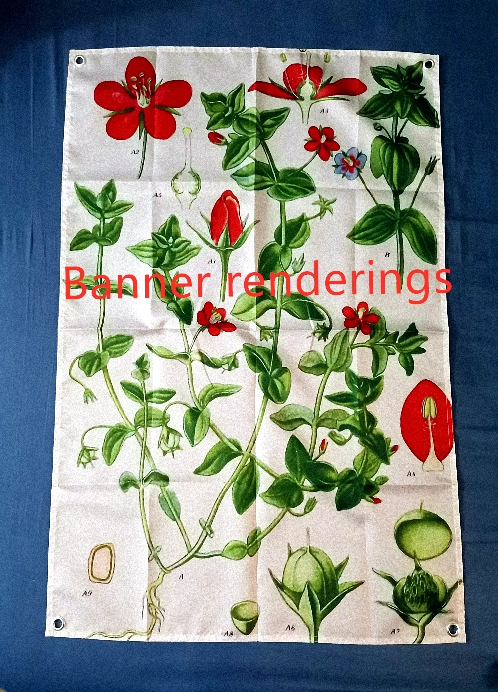 

Cydonia Oblonga Leguminosae Vintage Flower Plant Banners Flags Antique Floral Botanical Educational Poster Wall Art Home Decor