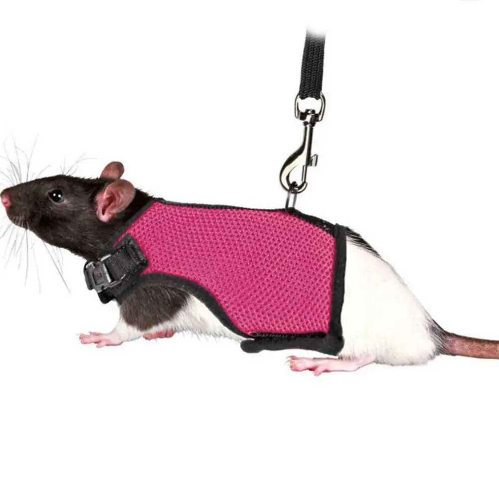 

Leash Rope Nylon Vest-style Chest Pet Walking Rope For Squirrel Hamster Guinea Pig