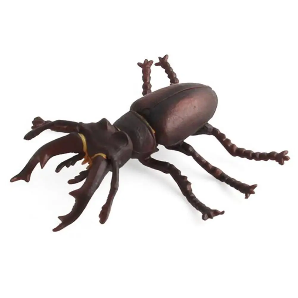 

Simulation PVC Insect Bug Animal Figure Model Educational Kids Roleplay Toy Toddler Early Education Cognition Toys