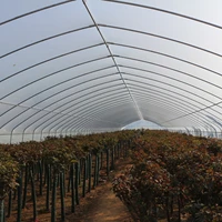 8m30m very strong frame and film for agricultural vegetable polytunnel greenhouse