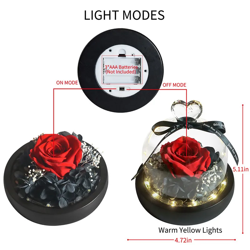 Оптовая продажа красота и чудовище Вечные розы свежие светильник кой для свадьбы