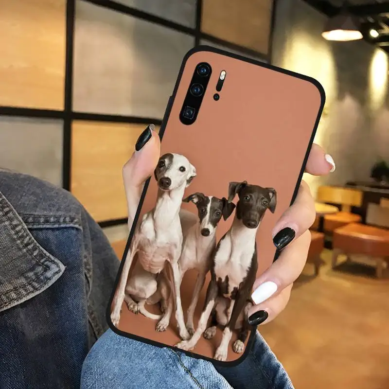 

Dachshund dog animal cute Phone Case For Huawei NOVA 2 2i 2s 3i 4 4e 5 plus P10 lite 20 P20 pro honor10