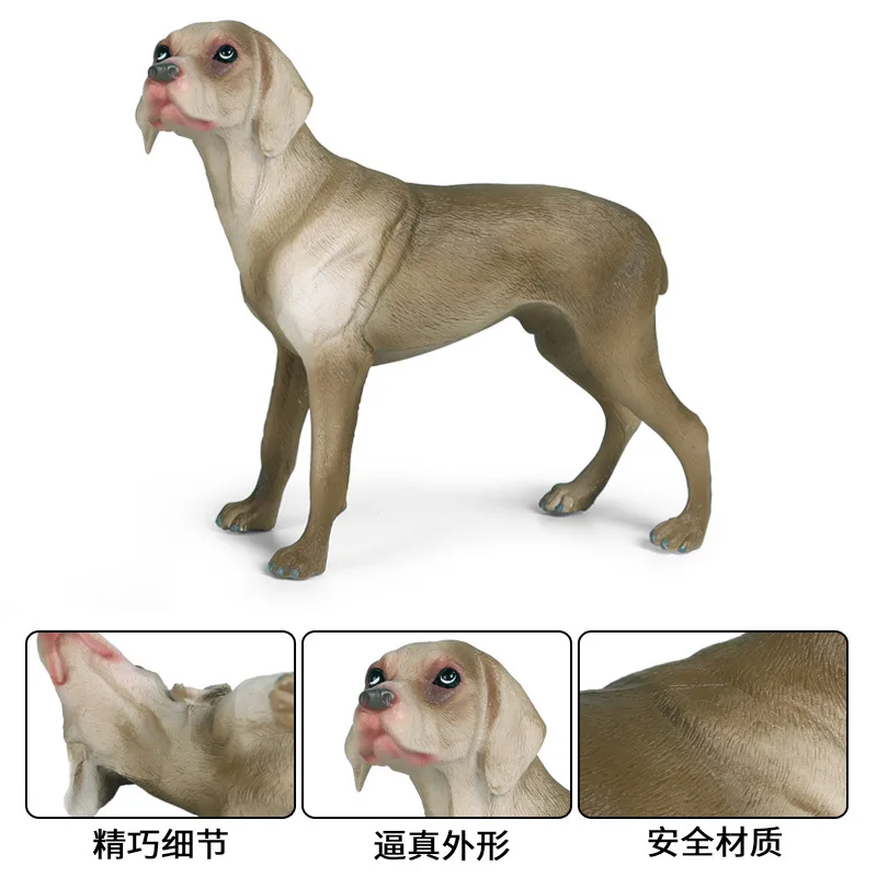 Weimaraner фигурки животных коллекционные игрушки собака экшн Детские Пластик