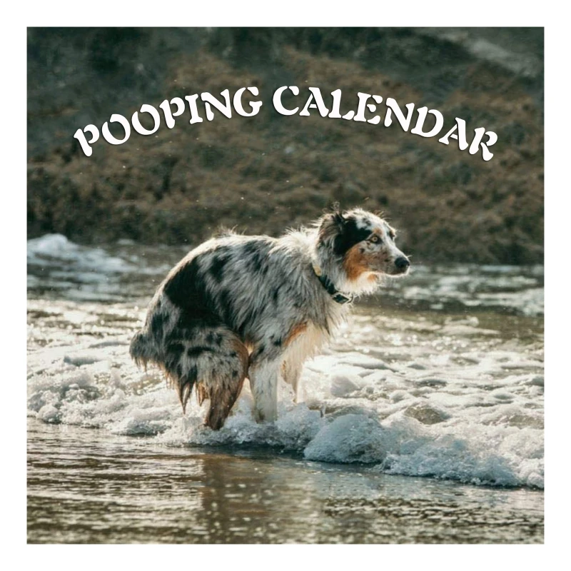 

Pooping Dog Pooches Calendar 2022 Wall Calendars Supplies Accessory for Home Bedroom Dormitory Wall Decoration