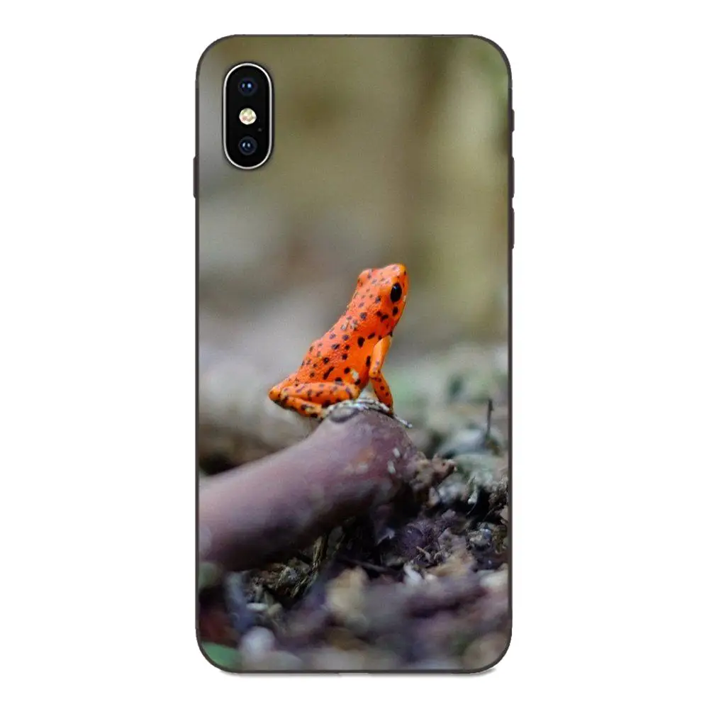 Амфибия Животные лягушка яд дротика для Galaxy C5 C7 J1 J2 J3 J330 J5 J6 J7 J730 M20 M30 Ace Core Max Мини Plus