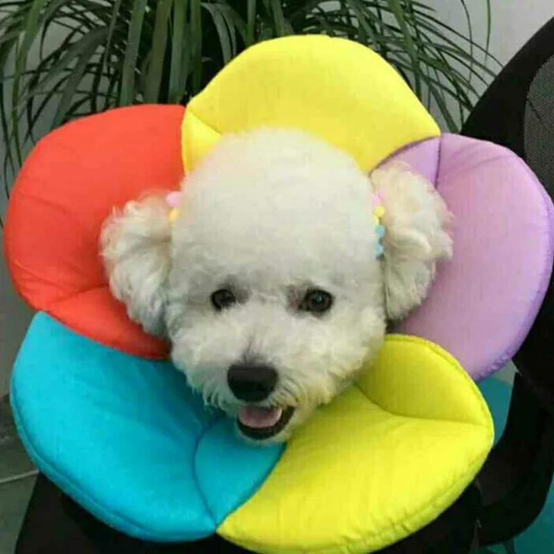 Красивый цветочный ошейник для домашних животных Защита Регулируемый исцеления