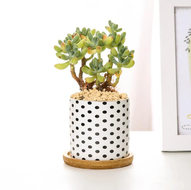 TECHOME современный стиль суккулентный керамический цветочный горшок