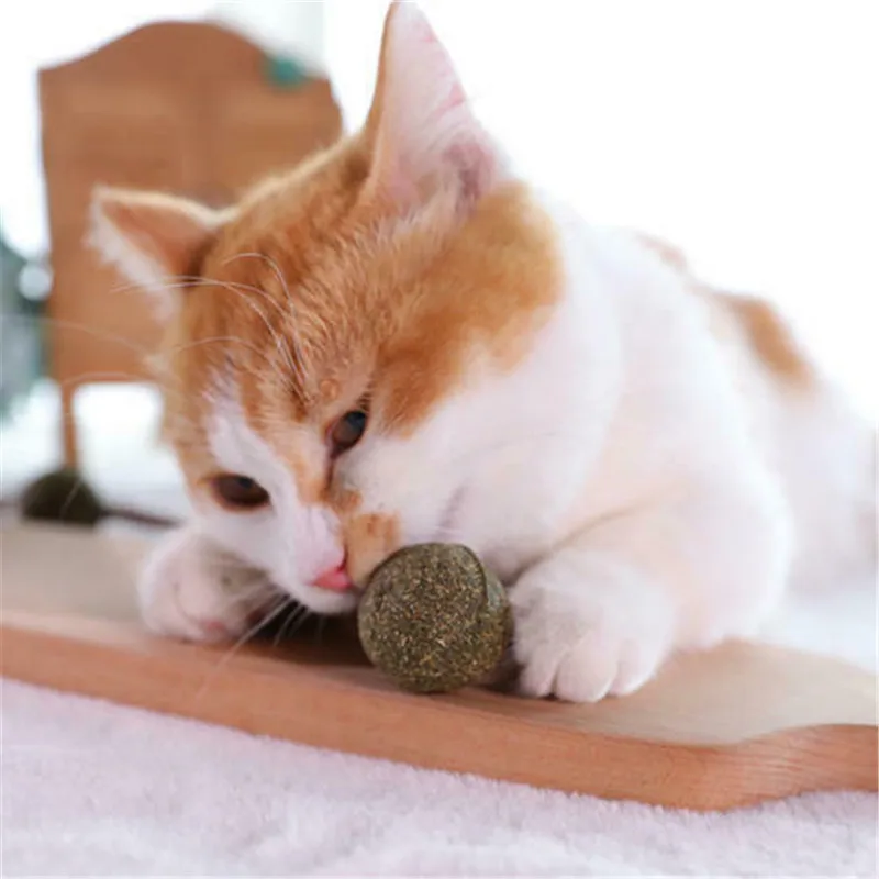 Новинка 1 предмет естественного здоровья мяч С Кошачьей Мятой Cat трава для