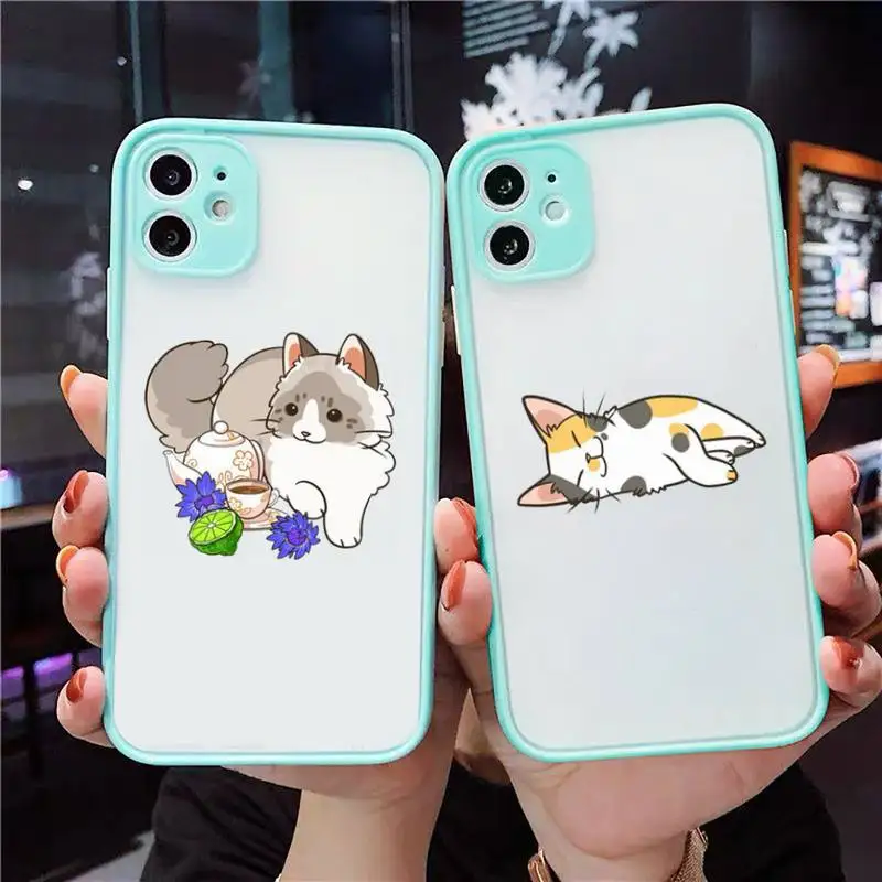 

Cute cartoon cat Phone Case For iPhone 12 11 Mini Pro XR XS Max 7 8 Plus X Matte transparent blue Back Cover